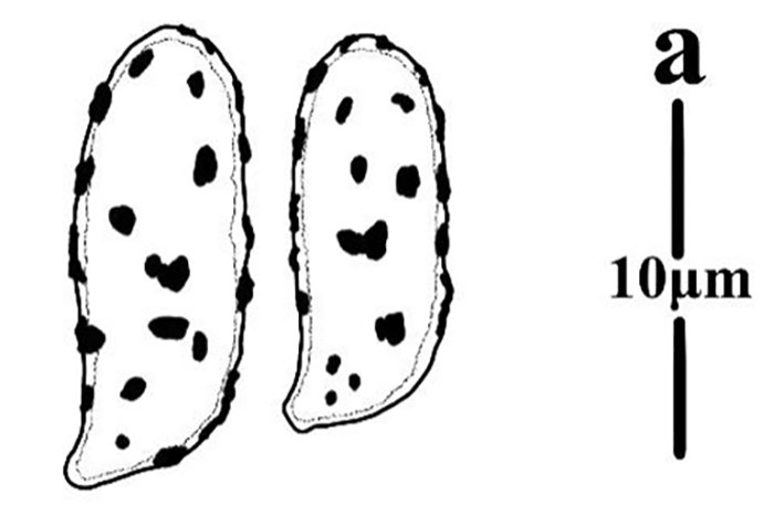 Figure 120
